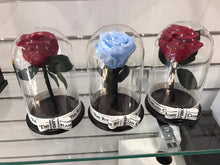 Customize the As seen in Beauty and the Beast: Eternity Rose, Under the Dome