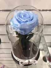 Customize the As seen in Beauty and the Beast: Eternity Rose, Under the Dome