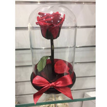 Customize the As seen in Beauty and the Beast: Eternity Rose, Under the Dome