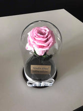 Customize the As seen in Beauty and the Beast: Eternity Rose, Under the Dome