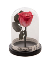 Customize the As seen in Beauty and the Beast: Eternity Rose, Under the Dome