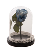 Customize the As seen in Beauty and the Beast: Eternity Rose, Under the Dome