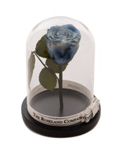 Customize the As seen in Beauty and the Beast: Eternity Rose, Under the Dome