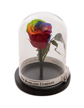 Customize the As seen in Beauty and the Beast: Eternity Rose, Under the Dome