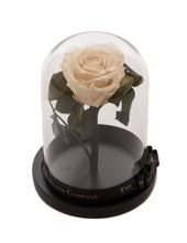 Customize the As seen in Beauty and the Beast: Eternity Rose, Under the Dome