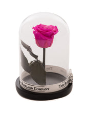 Customize the As seen in Beauty and the Beast: Eternity Rose, Under the Dome