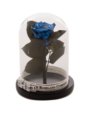 Customize the As seen in Beauty and the Beast: Eternity Rose, Under the Dome