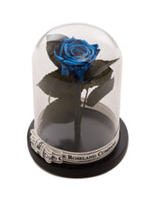 Customize the As seen in Beauty and the Beast: Eternity Rose, Under the Dome