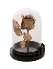 Customize the As seen in Beauty and the Beast: Eternity Rose, Under the Dome