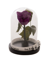 Customize the As seen in Beauty and the Beast: Eternity Rose, Under the Dome