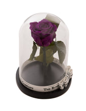 Customize the As seen in Beauty and the Beast: Eternity Rose, Under the Dome