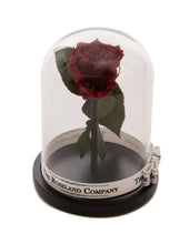 Customize the As seen in Beauty and the Beast: Eternity Rose, Under the Dome