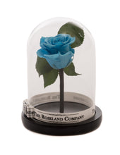 Customize the As seen in Beauty and the Beast: Eternity Rose, Under the Dome