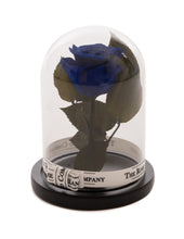 Customize the As seen in Beauty and the Beast: Eternity Rose, Under the Dome