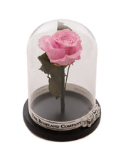 Customize the As seen in Beauty and the Beast: Eternity Rose, Under the Dome