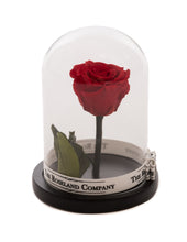 Customize the As seen in Beauty and the Beast: Eternity Rose, Under the Dome