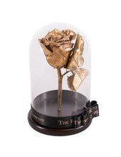 Customize the As seen in Beauty and the Beast: Eternity Rose, Under the Dome