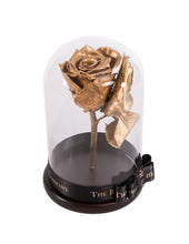 Customize the As seen in Beauty and the Beast: Eternity Rose, Under the Dome