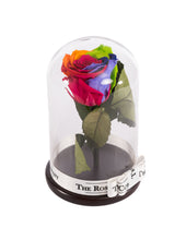 Customize the As seen in Beauty and the Beast: Eternity Rose, Under the Dome