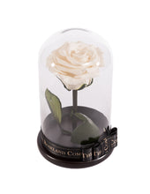 Customize the As seen in Beauty and the Beast: Eternity Rose, Under the Dome