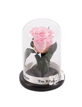Customize the As seen in Beauty and the Beast: Eternity Rose, Under the Dome