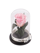 Customize the As seen in Beauty and the Beast: Eternity Rose, Under the Dome