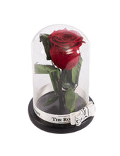 Customize the As seen in Beauty and the Beast: Eternity Rose, Under the Dome