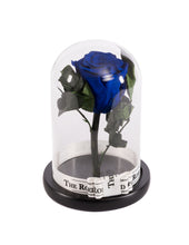 Customize the As seen in Beauty and the Beast: Eternity Rose, Under the Dome