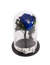 Customize the As seen in Beauty and the Beast: Eternity Rose, Under the Dome