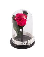Customize the As seen in Beauty and the Beast: Eternity Rose, Under the Dome
