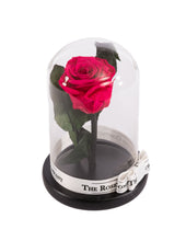 Customize the As seen in Beauty and the Beast: Eternity Rose, Under the Dome