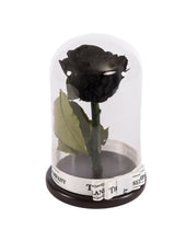 Customize the As seen in Beauty and the Beast: Eternity Rose, Under the Dome
