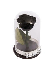 Customize the As seen in Beauty and the Beast: Eternity Rose, Under the Dome