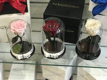 Customize the As seen in Beauty and the Beast: Eternity Rose, Under the Dome