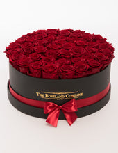 Eternity Roses, Huge Round Box