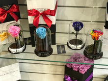 Customize the As seen in Beauty and the Beast: Eternity Rose, Under the Dome