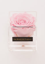Eternity Rose, Transparent Small Cube Box