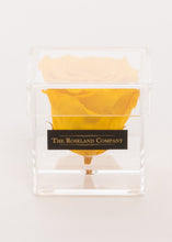 Eternity Rose, Transparent Small Cube Box