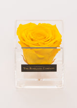 Eternity Rose, Transparent Small Cube Box