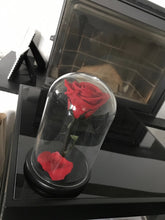 Customize the As seen in Beauty and the Beast: Eternity Rose, Under the Dome