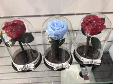 Customize the As seen in Beauty and the Beast: Eternity Rose, Under the Dome