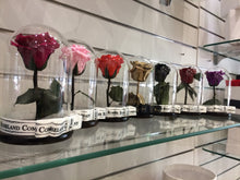 Customize the As seen in Beauty and the Beast: Eternity Rose, Under the Dome