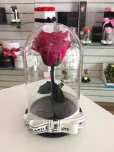 Customize the As seen in Beauty and the Beast: Eternity Rose, Under the Dome