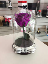 Customize the As seen in Beauty and the Beast: Eternity Rose, Under the Dome