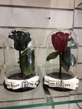Customize the As seen in Beauty and the Beast: Eternity Rose, Under the Dome