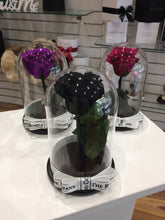 Customize the As seen in Beauty and the Beast: Eternity Rose, Under the Dome