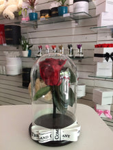 Customize the As seen in Beauty and the Beast: Eternity Rose, Under the Dome