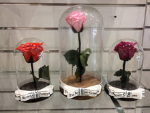 Customize the As seen in Beauty and the Beast: Eternity Rose, Under the Dome