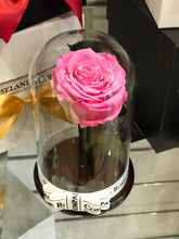 Customize the As seen in Beauty and the Beast: Eternity Rose, Under the Dome