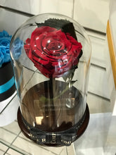 Customize the As seen in Beauty and the Beast: Eternity Rose, Under the Dome